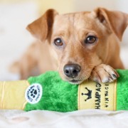 ZippyPaws Plusz CHAMPAGNE zabawka na butelkę