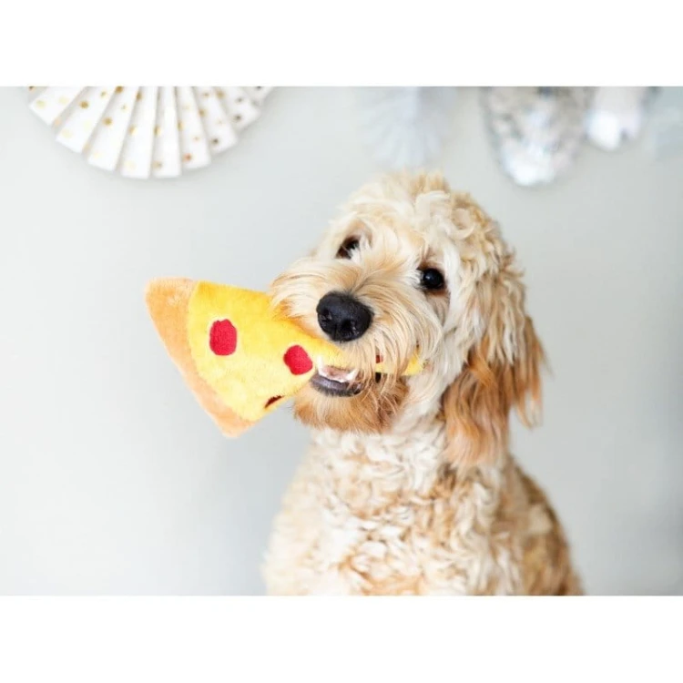 ZippyPaws plusz PIZZA