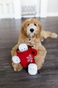 ZippyPaws pluszowa norka KAKAO Z PIANKAMI