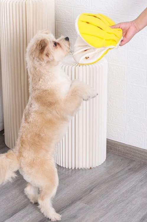 DOGLEMI Zabawka węchowa MUSZLA dla psa i kota