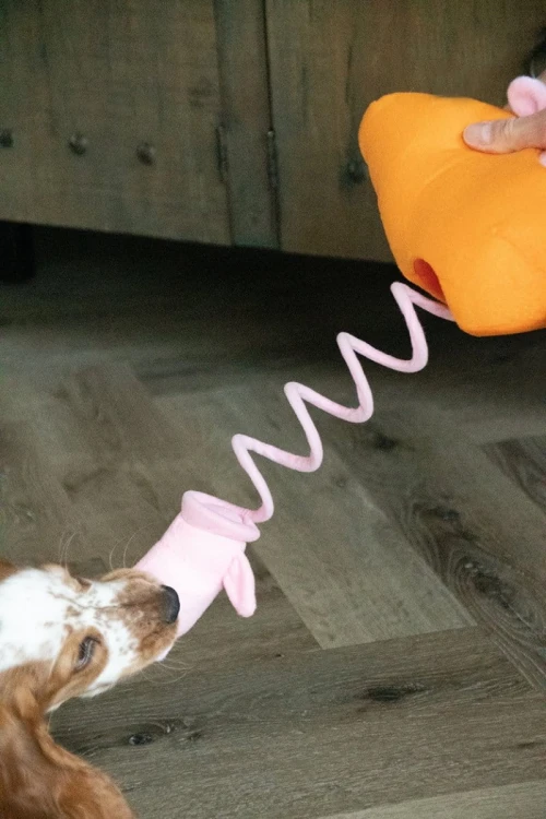 DOUBLE WOBBLE Carrot Conejos Wyskakujące KRÓLIKI