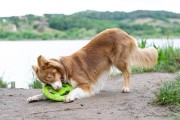 Kiwi Walker Let's Play! FRISBEE Maxi różowe