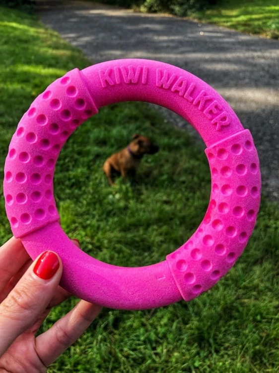 Kiwi Walker Let's Play! RING Mini niebieski