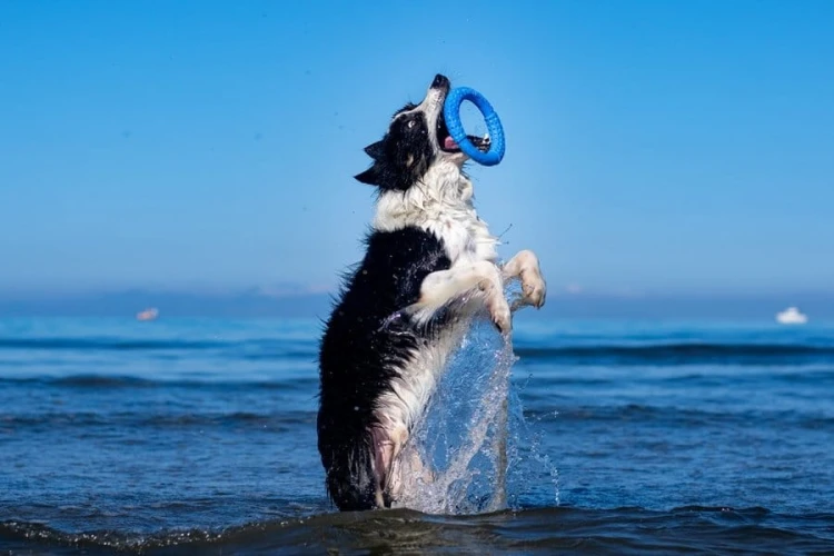 Kiwi Walker Let's Play! RING Maxi różowy