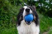 Kiwi Walker Let's Play! BALL Maxi piłka zielona