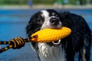 Kiwi Walker Let's Play! ZEPPELIN Maxi aport pomarańczowy