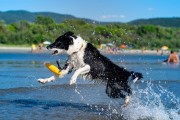 Kiwi Walker Let's Play! ZEPPELIN Maxi aport zielony