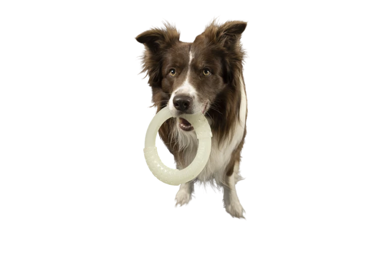 Kiwi Walker Let's Play! GLOW RING Mini
