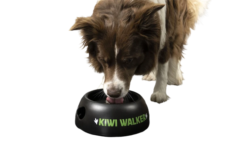 Kiwi Walker BLACK BOWL miska niebieska dla psa i kota