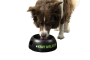 Kiwi Walker BLACK BOWL miska zielona dla psa i kota