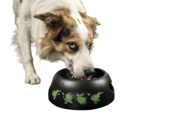 Kiwi Walker BLACK BOWL miska zielona dla psa i kota