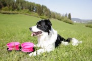 Kiwi Walker TRAVEL DOUBLE BOWL zestaw misek turystycznych zielonych