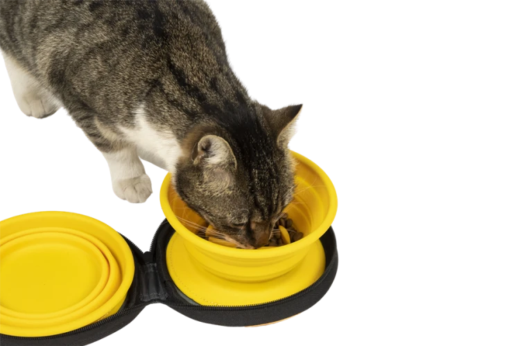 Kiwi Walker TRAVEL DOUBLE BOWL SLOWFEEDER zestaw spowalniających misek turystycznych pomarańczowych