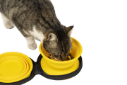 Kiwi Walker TRAVEL DOUBLE BOWL SLOWFEEDER zestaw spowalniających misek turystycznych różowych