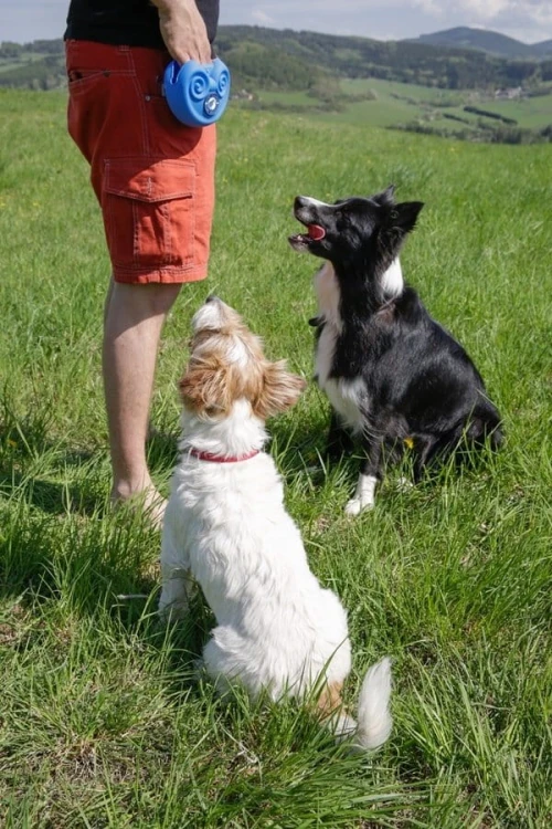 Kiwi Walker REWARDS POCKET saszetka na przysmaki różowa