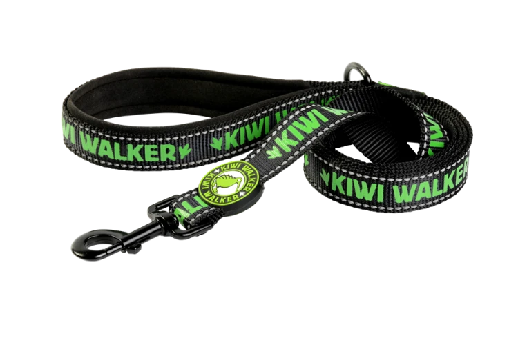 Kiwi Walker SMYCZ rozmiar L zielona