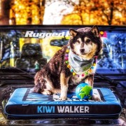 Kiwi Walker MATERAC ORTOPEDYCZNY niebiesko-czarny rozmiar M