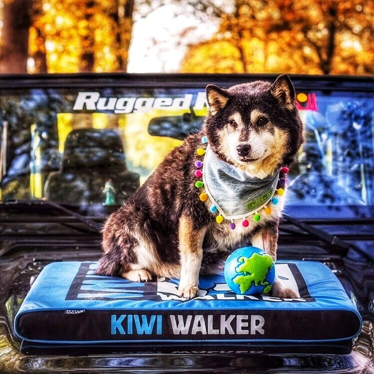 Kiwi Walker MATERAC ORTOPEDYCZNY niebiesko-czarny rozmiar M