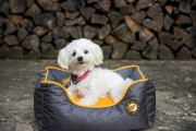 Kiwi Walker SOFA BED pomarańczowo-szara rozmiar M