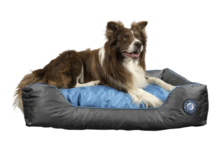 Kiwi Walker SOFA BED pomarańczowo-szara rozmiar M