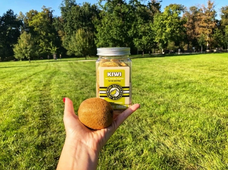 Kiwi Walker 100% KIWI liofilizowane smaczki 40g