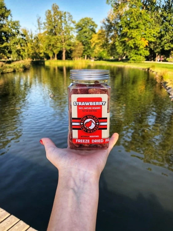 Kiwi Walker 100% TRUSKAWKA liofilizowane smaczki 25g