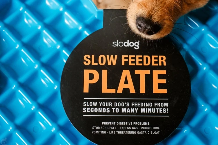 Miska spowalniająca jedzenie SLODOG® czarna dla psa i kota
