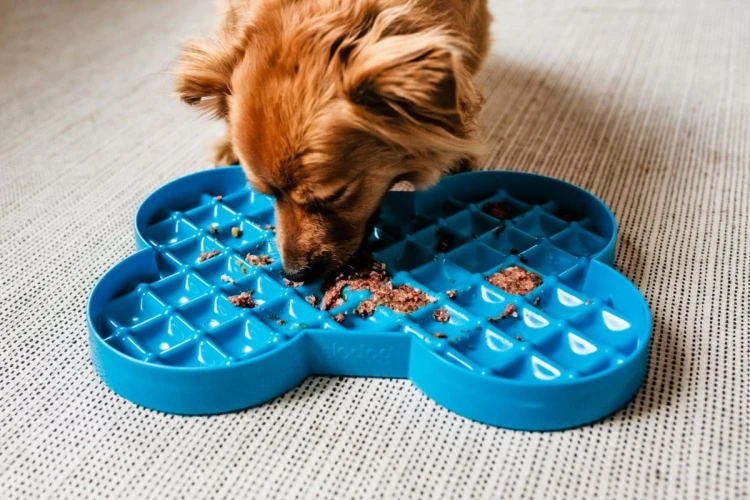 Miska spowalniająca jedzenie SLODOG® czarna dla psa i kota