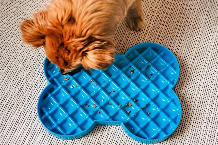 Miska spowalniająca jedzenie SLODOG® czarna dla psa i kota