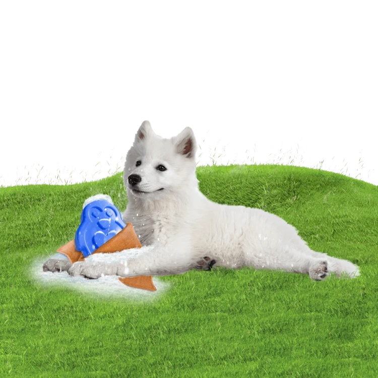 CoolPets Lodowy PINGWIN dla psów