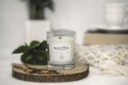 MASCOTA MEXICAN CORIANDER świeca sojowa neutralizująca zapach zwierząt