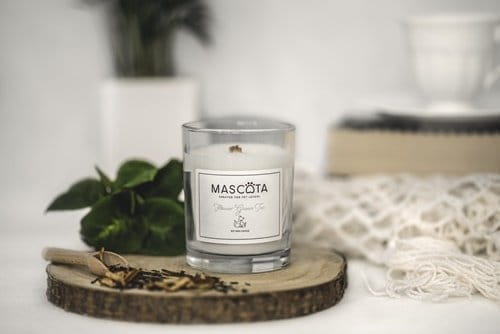 MASCOTA MEXICAN CORIANDER świeca sojowa neutralizująca zapach zwierząt