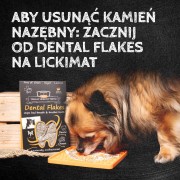 QCHEFS Dental Flakes do higieny jamy ustnej Przysmaki dentystyczne dla psa