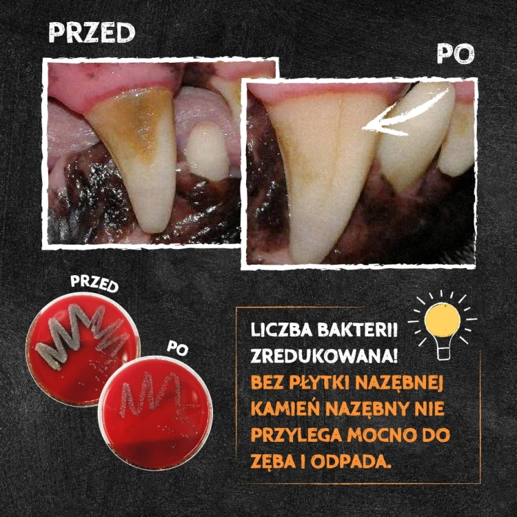 QCHEFS Puffed Cheese do higieny jamy ustnej Przysmaki dentystyczne dla psa