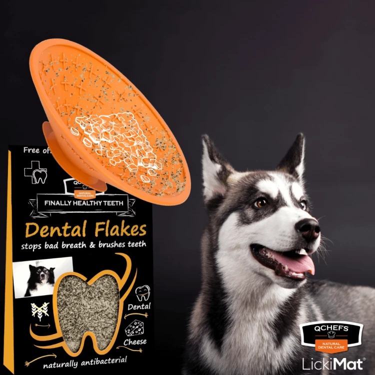 QCHEFS Dental Flakes + LickiMat® Splash™