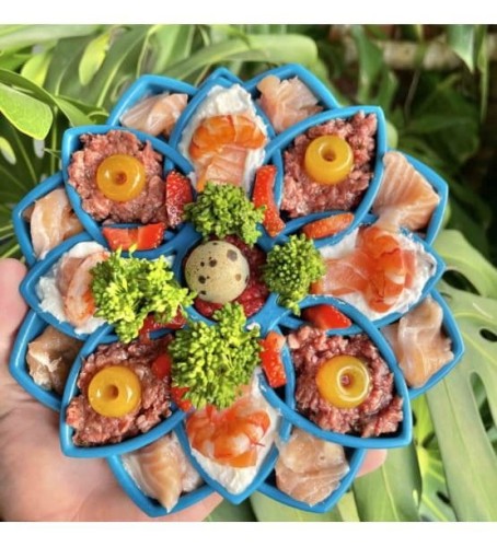 Soda Pup MANDALA niebieska