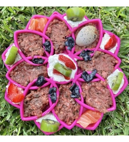 Soda Pup MANDALA różowa