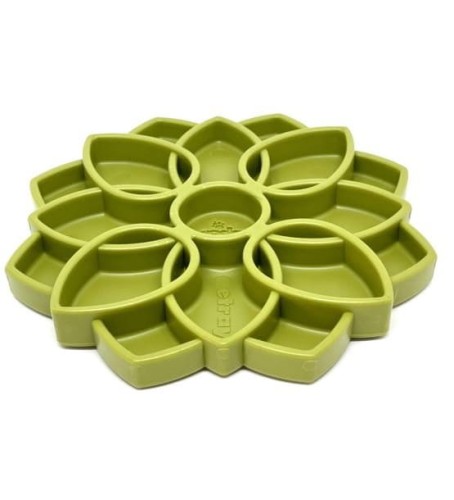 Soda Pup MANDALA zielona