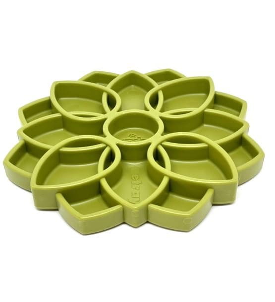 Soda Pup MANDALA zielona