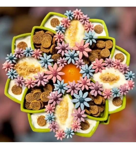 Soda Pup MANDALA zielona