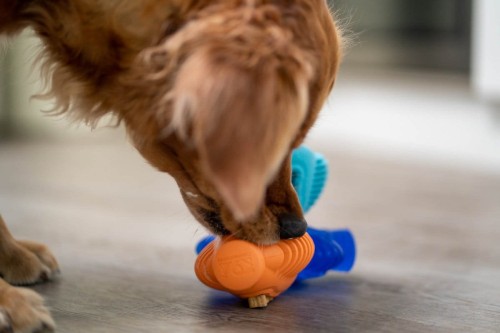K9 Connectables TUFF TOOTHIE PRO Medium