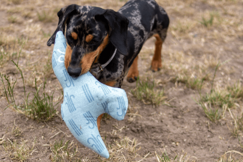 Kiwi Walker 4 ELEMENTS Ptak - Powietrze Eko Zabawka