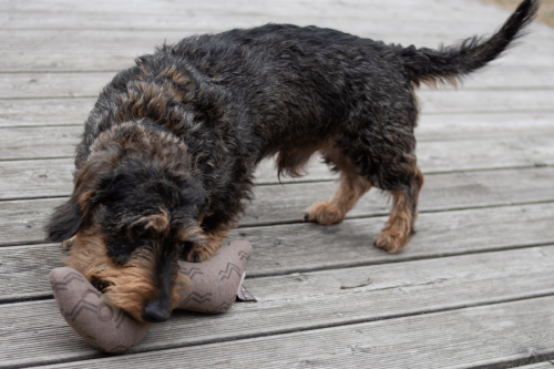 Kiwi Walker 4 ELEMENTS Dżdżownica - Ziemia Eko Zabawka