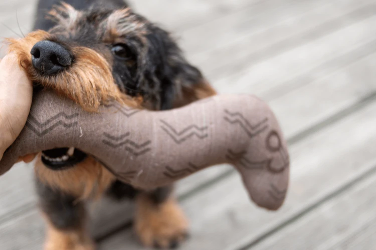 Kiwi Walker 4 ELEMENTS Dżdżownica - Ziemia Eko Zabawka