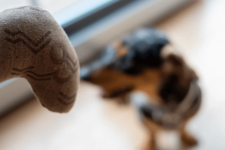 Kiwi Walker 4 ELEMENTS Dżdżownica - Ziemia Eko Zabawka