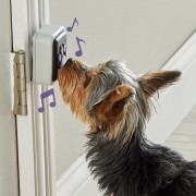 Hunger for Words TALKING PET Doorbell Dzwonek do drzwi