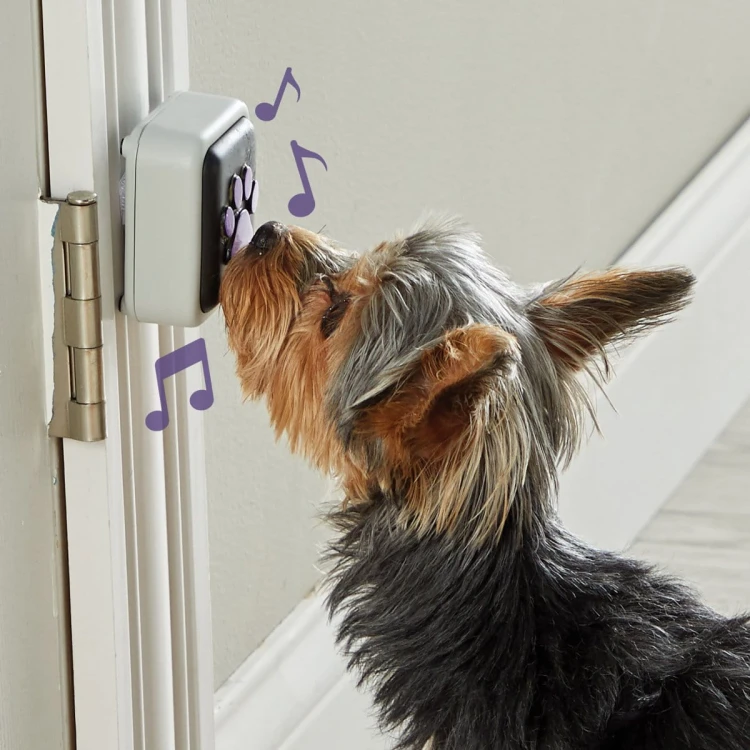 Hunger for Words TALKING PET Doorbell Dzwonek do drzwi