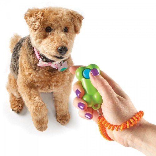 Brightkins Smarty Pooch Training Clicker KLIKER KOŚĆ