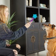 Brightkins Dozownik przysmaków Magic Wand! MAGICZNA RÓŻDŻKA GWIAZDA