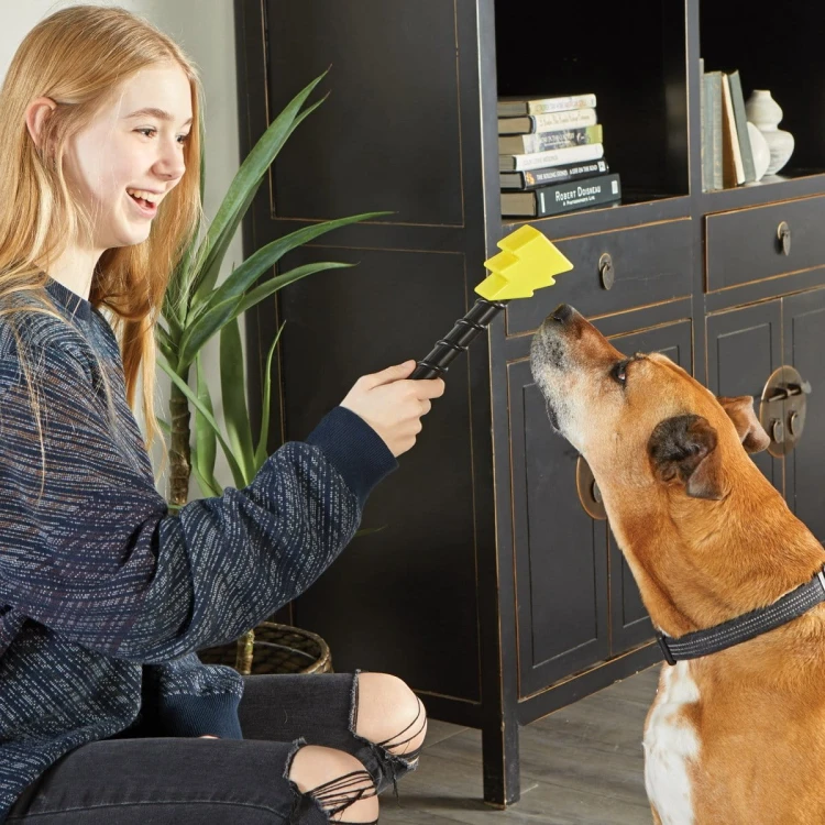 Brightkins Dozownik przysmaków Magic Wand! MAGICZNA RÓŻDŻKA PIORUN